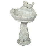 Photo of Birdbath with Two Birds - Marquis Gardens